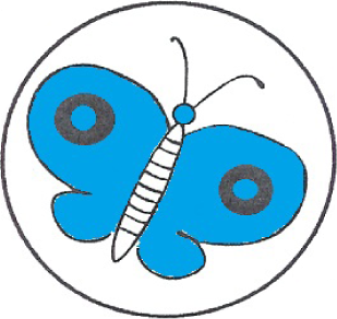 Motýlci